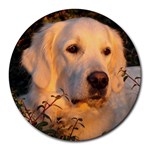 Golden Retriever Dog Round Mousepad