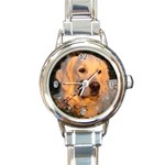 Golden Retriever Dog Round Italian Charm Watch