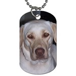Labrador Retriever Dog Dog Tag (One Side)