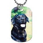 Labrador Retriever Dog Dog Tag (One Side)