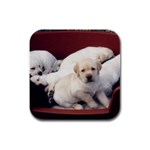 Labrador Retriever Dog Rubber Square Coaster (4 pack)