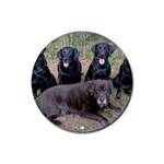 Labrador Retriever Dog Rubber Round Coaster (4 pack)