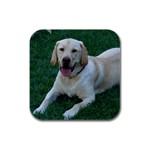 Labrador Retriever Dog Rubber Square Coaster (4 pack)