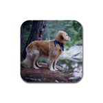 Labrador Retriever Dog Rubber Square Coaster (4 pack)