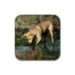 Labrador Retriever Dog Rubber Square Coaster (4 pack)