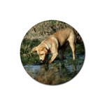 Labrador Retriever Dog Rubber Round Coaster (4 pack)