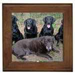 Labrador Retriever Dog Framed Tile