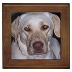 Labrador Retriever Dog Framed Tile