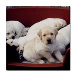 Labrador Retriever Dog Tile Coaster