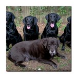 Labrador Retriever Dog Tile Coaster