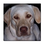 Labrador Retriever Dog Tile Coaster
