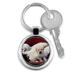 Labrador Retriever Dog Key Chain (Round)