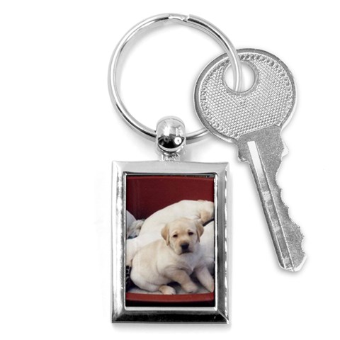 Labrador Retriever Dog Key Chain (Rectangle) from ArtsNow.com Front