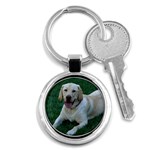 Labrador Retriever Dog Key Chain (Round)