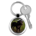 Labrador Retriever Dog Key Chain (Round)