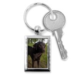 Labrador Retriever Dog Key Chain (Rectangle)