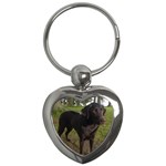 Labrador Retriever Dog Key Chain (Heart)