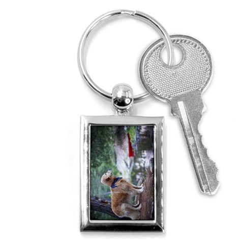 Labrador Retriever Dog Key Chain (Rectangle) from ArtsNow.com Front