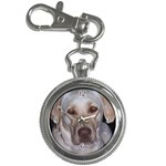 Labrador Retriever Dog Key Chain Watch