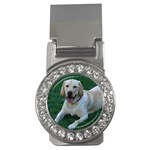 Labrador Retriever Dog Money Clip (CZ)