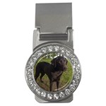 Labrador Retriever Dog Money Clip (CZ)