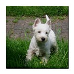 West Highland White Terrier Westie Dog Tile Coaster