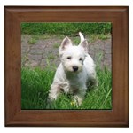 West Highland White Terrier Westie Dog Framed Tile