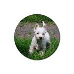 West Highland White Terrier Westie Dog Rubber Round Coaster (4 pack)