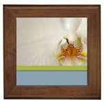 Wedding Orchid Framed Tile