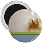 Wedding Orchid 3  Magnet