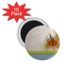 Wedding Orchid 1.75  Magnet (10 pack) 