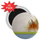 Wedding Orchid 2.25  Magnet (10 pack)