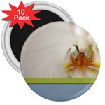 Wedding Orchid 3  Magnet (10 pack)