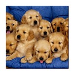 Golden Retriever Tile Coaster