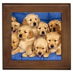 Golden Retriever Framed Tile