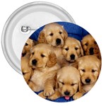 Golden Retriever 3  Button