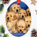Golden Retriever Ornament (Oval)