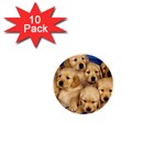 Golden Retriever 1  Mini Button (10 pack) 