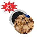 Golden Retriever 1.75  Magnet (100 pack) 