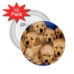 Golden Retriever 2.25  Button (10 pack)