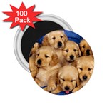 Golden Retriever 2.25  Magnet (100 pack) 