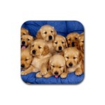 Golden Retriever Rubber Coaster (Square)