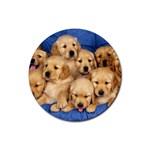 Golden Retriever Rubber Round Coaster (4 pack)
