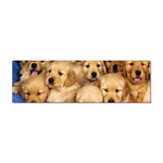 Golden Retriever Sticker (Bumper)