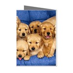 Golden Retriever Mini Greeting Cards (Pkg of 8)