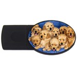 Golden Retriever USB Flash Drive Oval (2 GB)