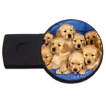 Golden Retriever USB Flash Drive Round (4 GB)