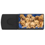 Golden Retriever USB Flash Drive Rectangular (4 GB)