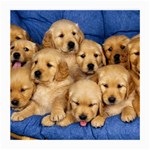 Golden Retriever Glasses Cloth (Medium, Two Sides)