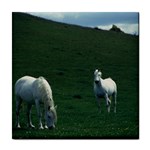 Two White Horses 0002 Tile Coaster